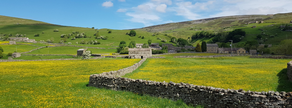 Lodges for Sale Yorkshire