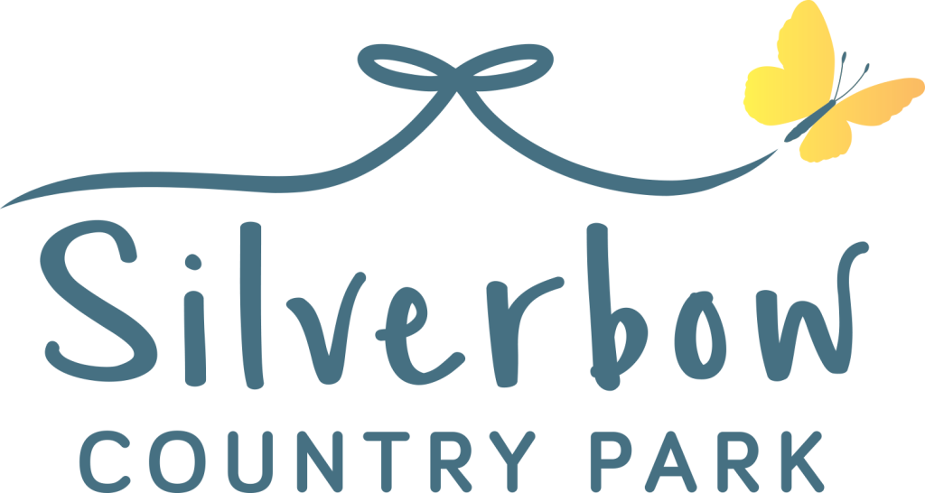 logo-silver-bo.png