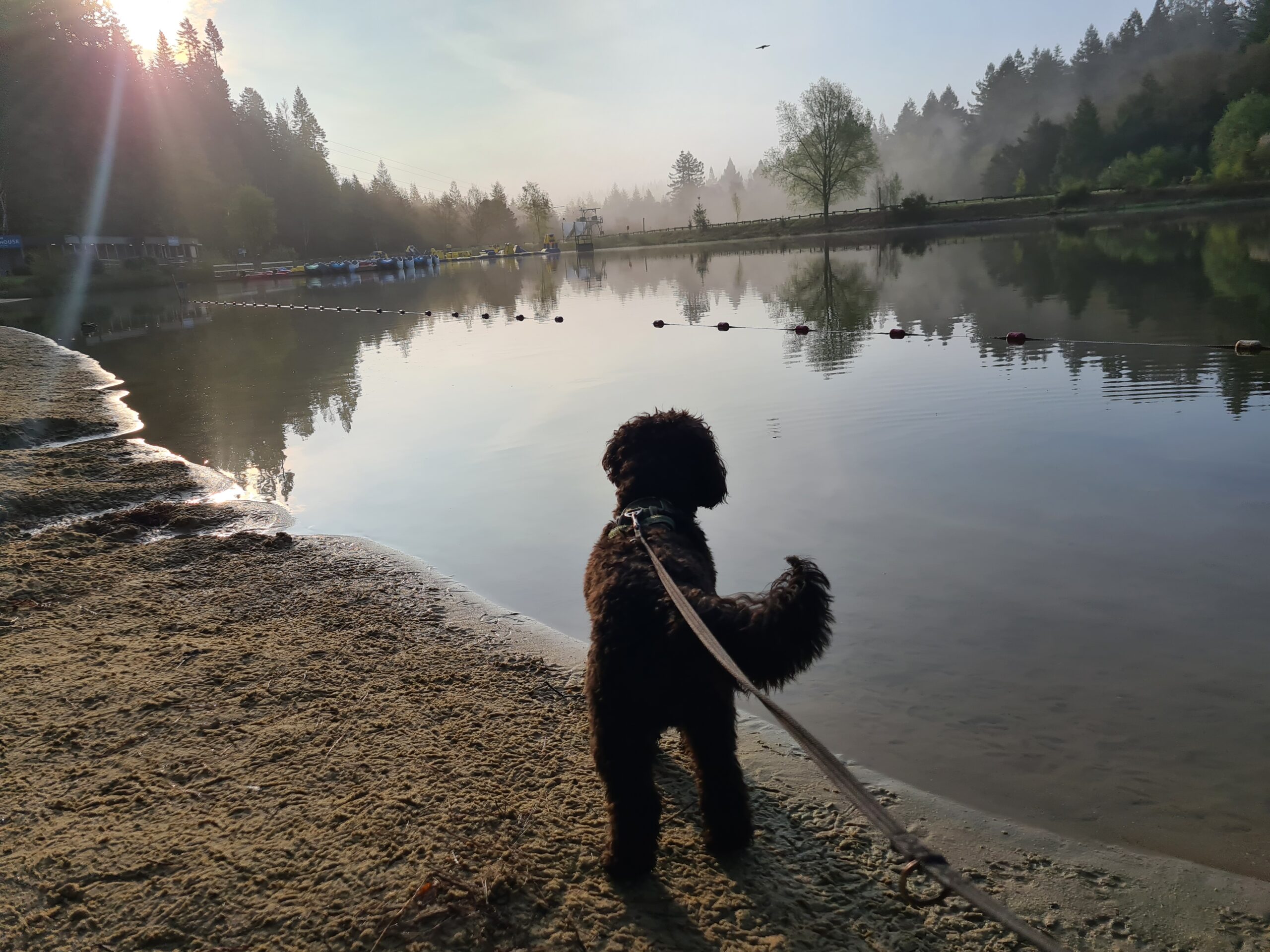 Holiday lodge park at Explorelodges Blog