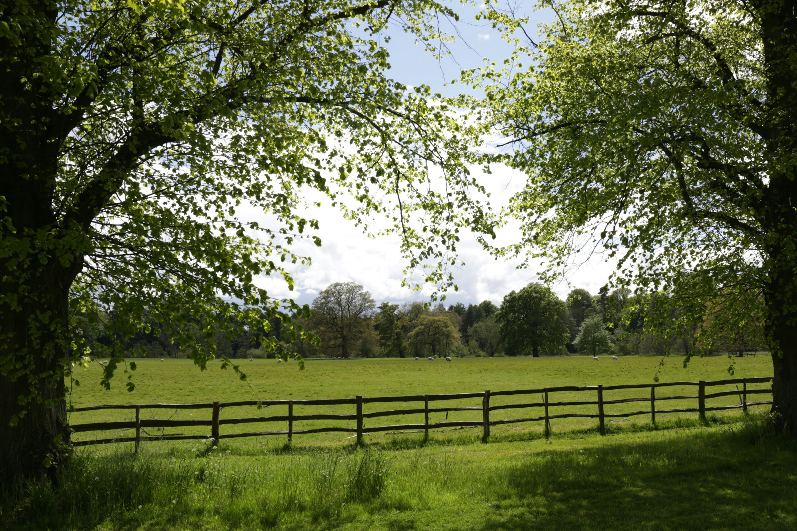 Holiday lodge at Explorelodges Blog