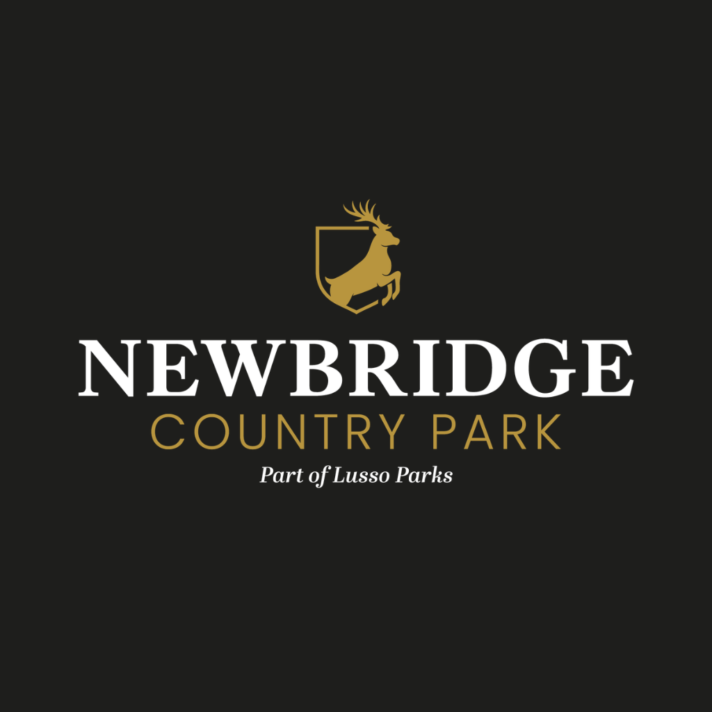 Newbridge New Profile Photo