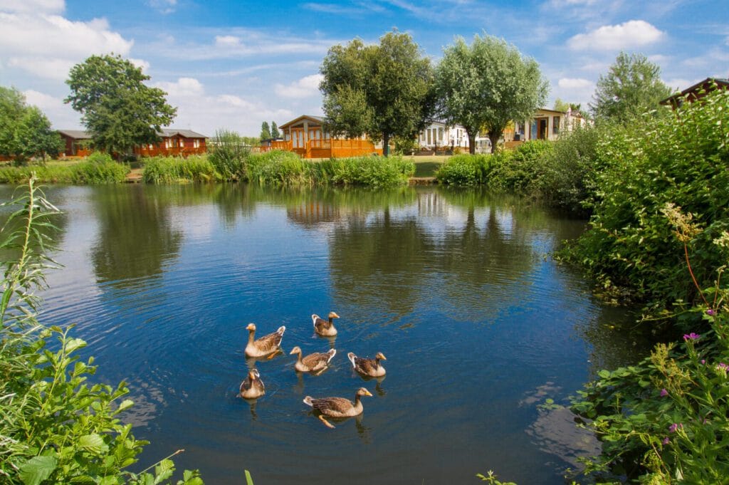 Pershore lodges waterside with ducks
