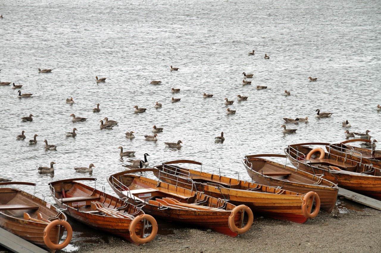 Lakeside scenery at Explorelodges Blog