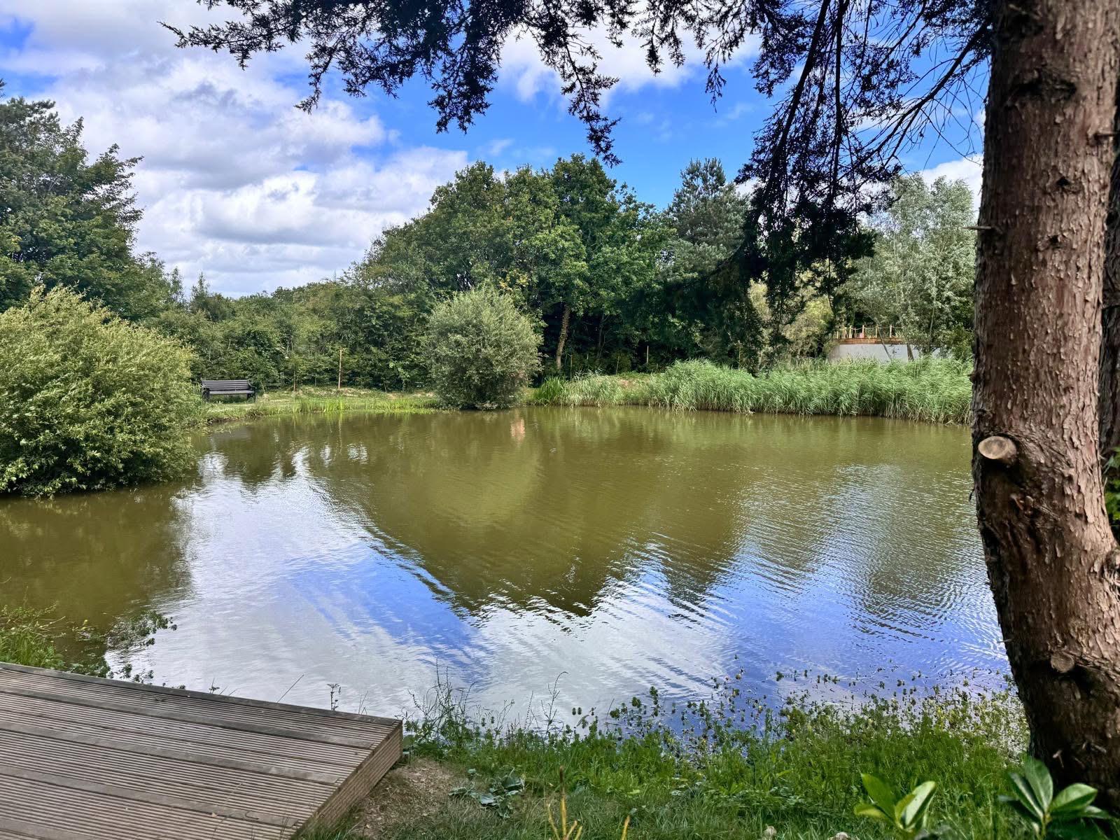 lodge for sale near me