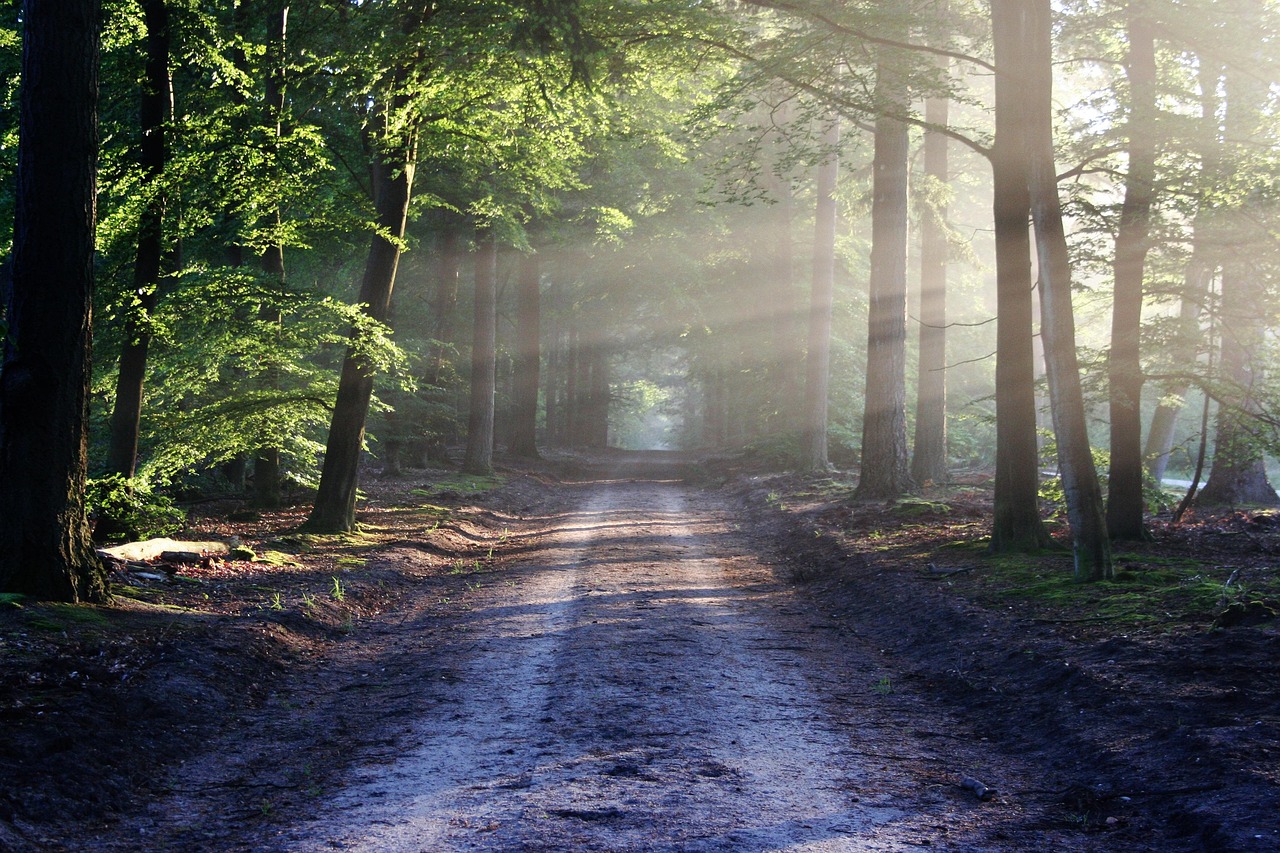Holiday lodge at Explorelodges Blog