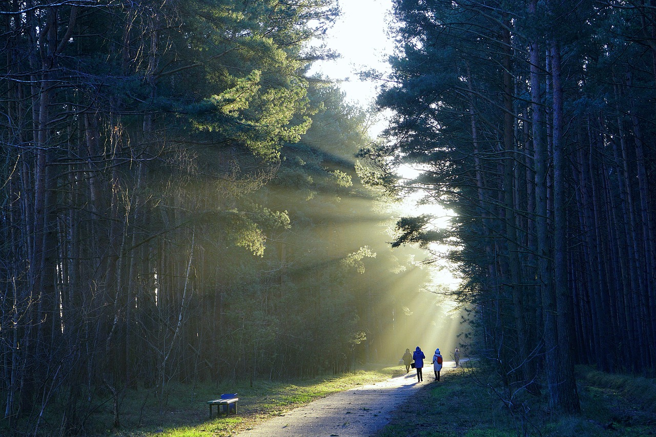 Holiday lodge at Explorelodges Blog