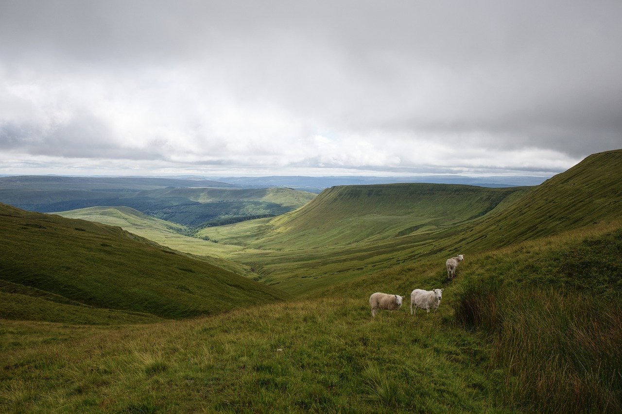 Luxury Lodges in Wales