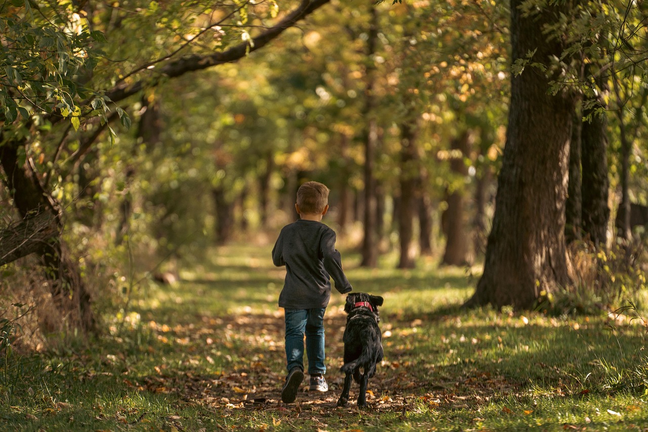 Holiday lodge at Explorelodges Blog