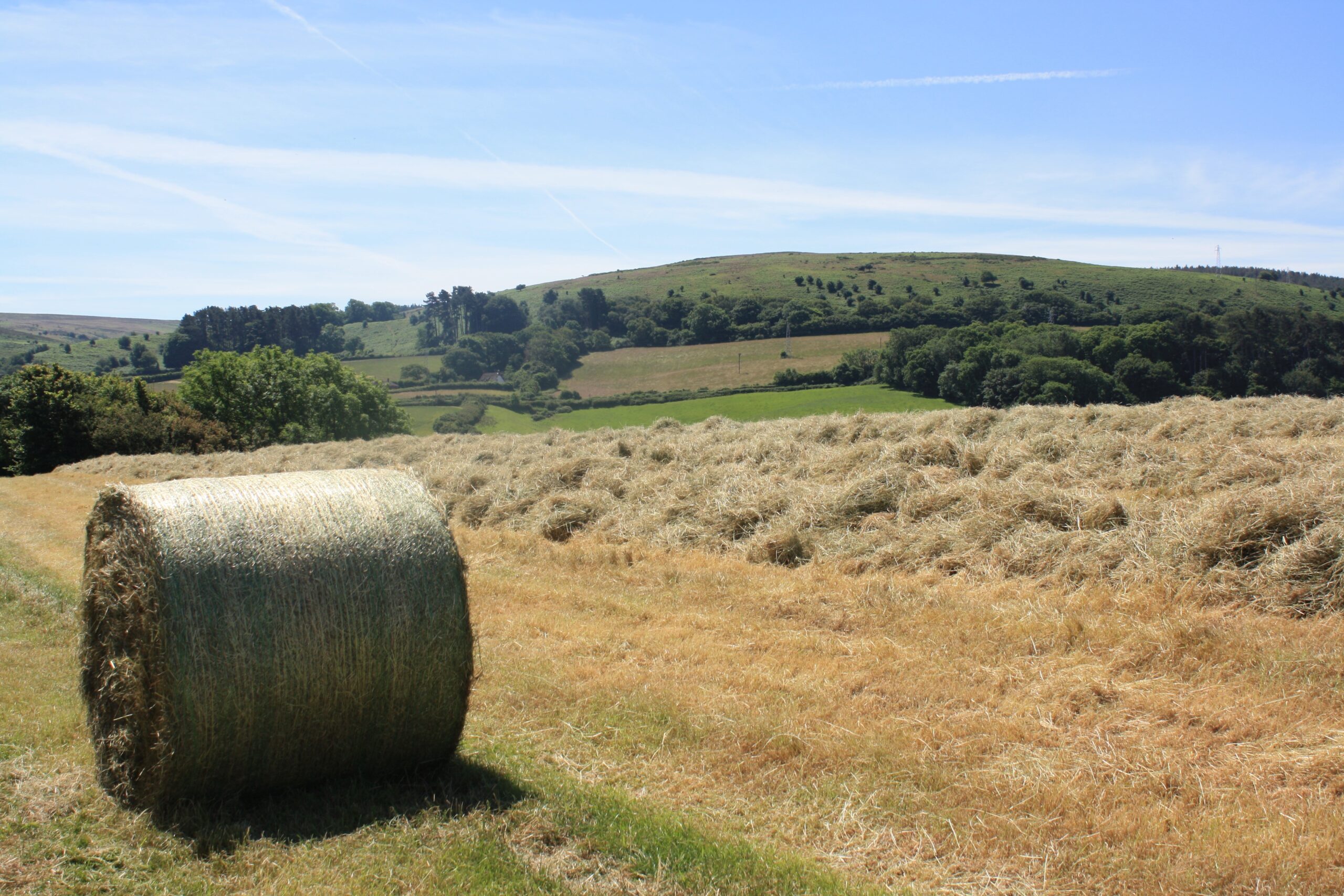cornwall vs somerset holidays