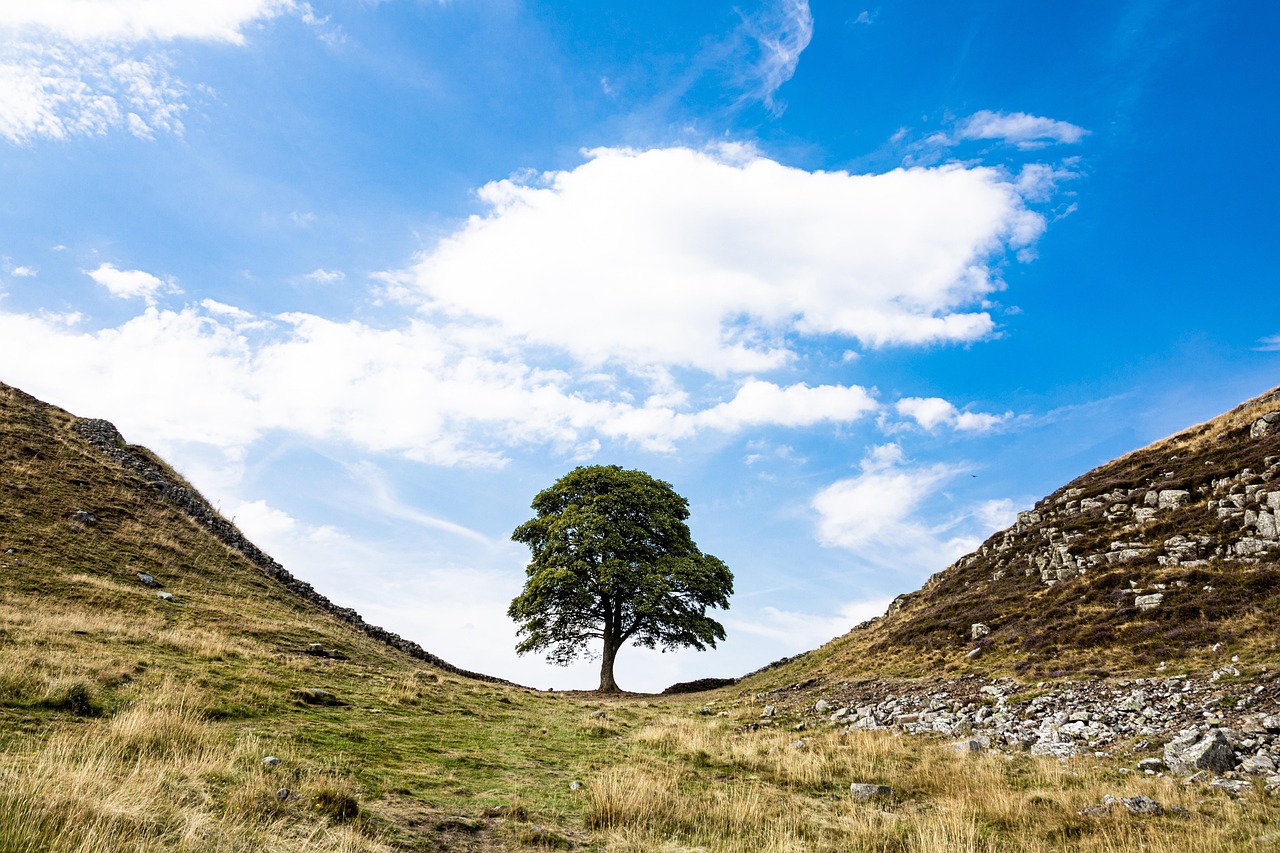 lodge ownership hexham