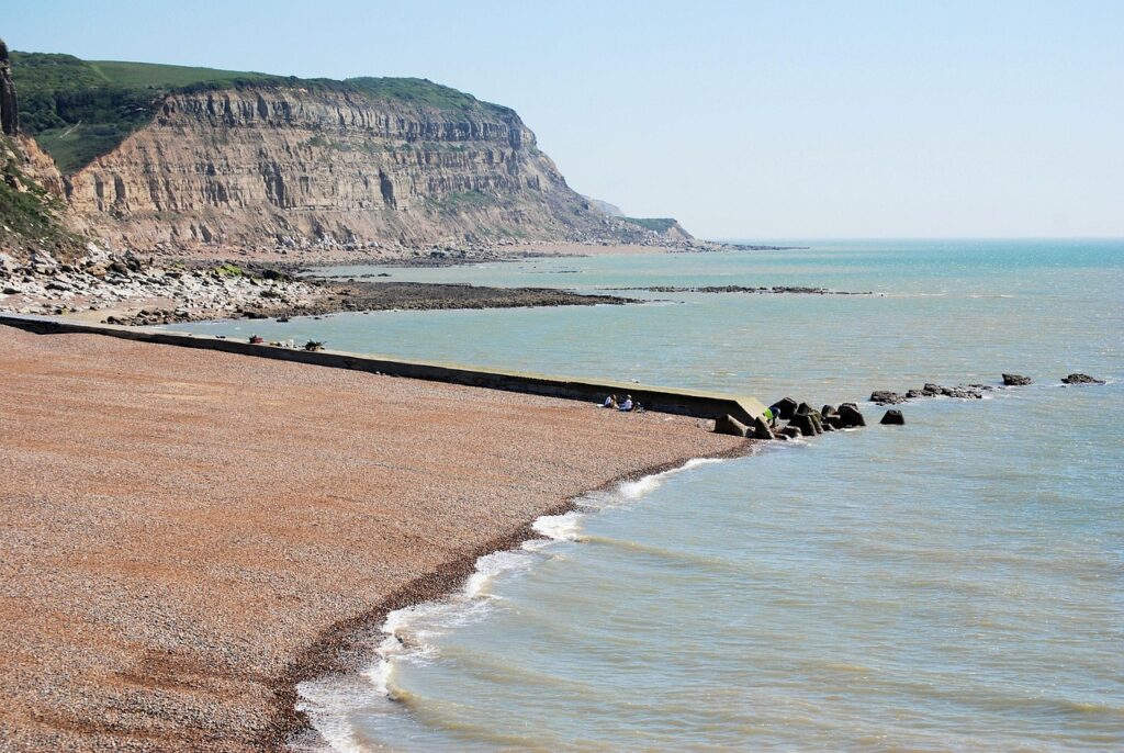 things to do near winchelsea