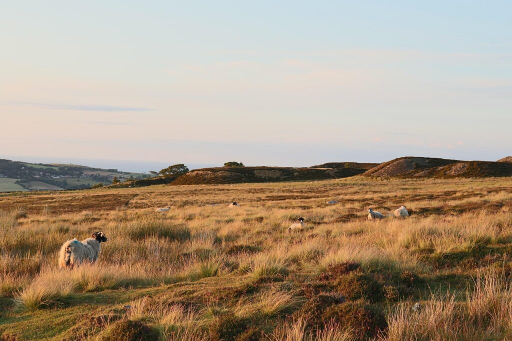 lodges for sale North York Moors